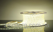 Герметичная лента LT-100M-220V (3528, 60 led) белый